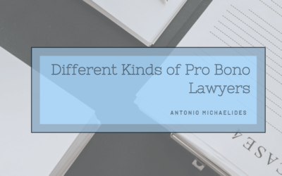 Different Kinds of Pro Bono Lawyers